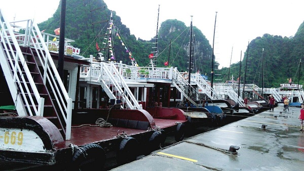 Chương trình tham quan Hạ Long du lịch Vietpower